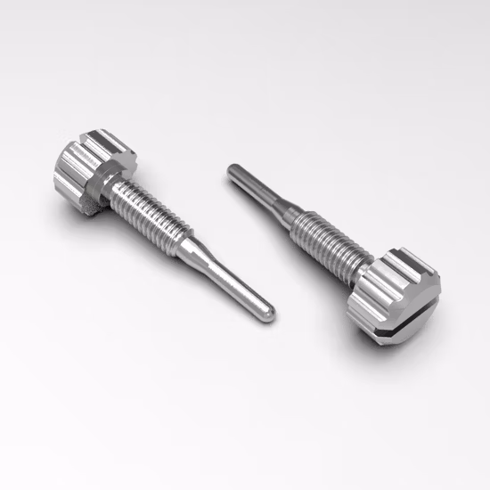 Máquina de torno Servicio de torneado CNC para mecanizar piezas de trinquete rodante Proveedor de mecanizado CNC